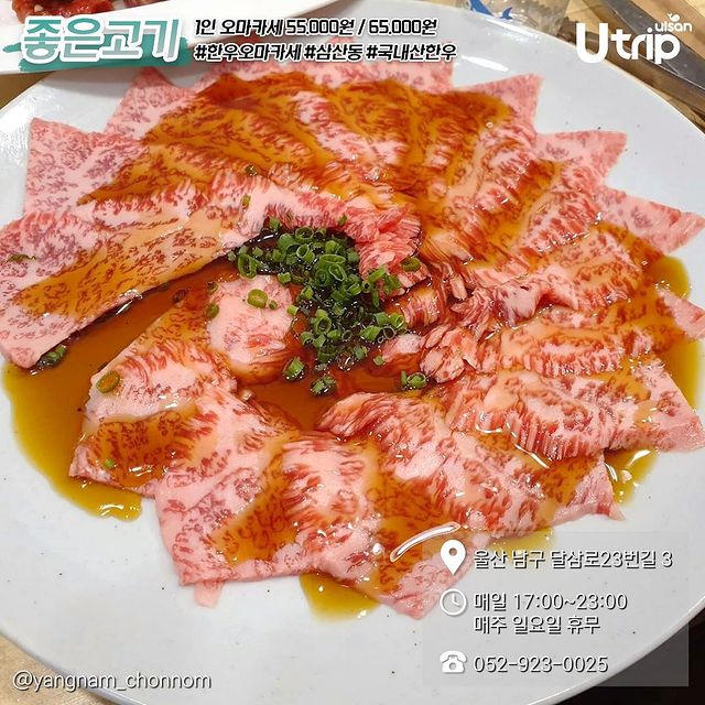 울산 오마카세 TOP5