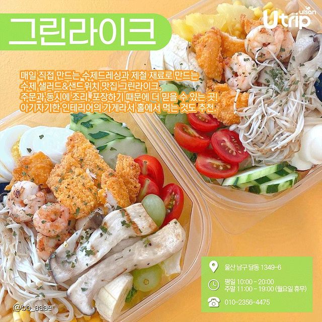 울산 샐러드 맛집 모음